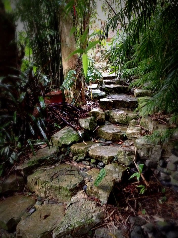 Stone walking path