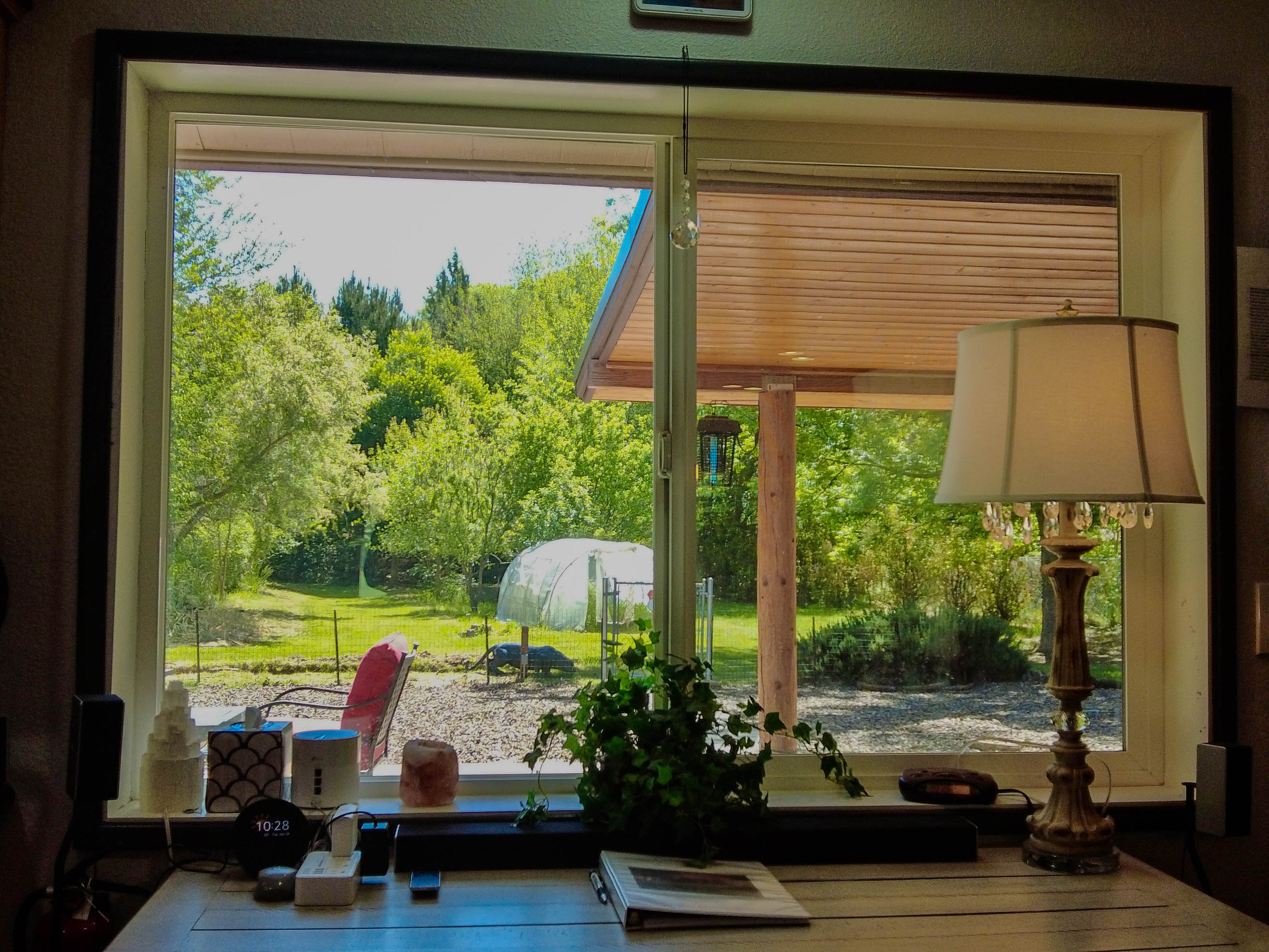 Back yard View from office table
