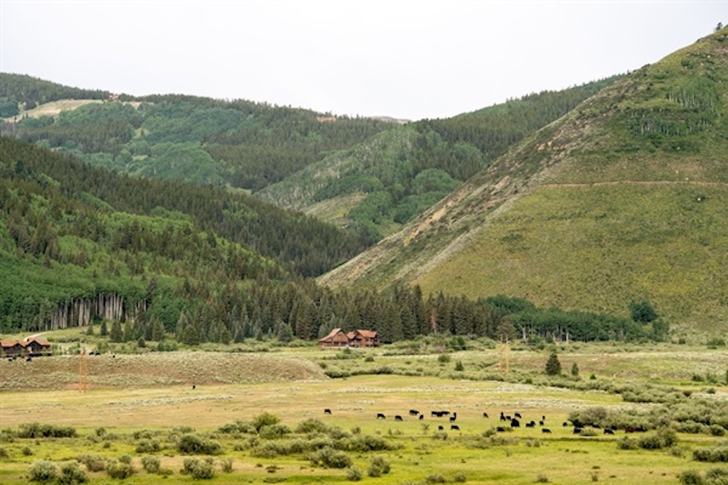 Baxter gulch flows right through Colvin house