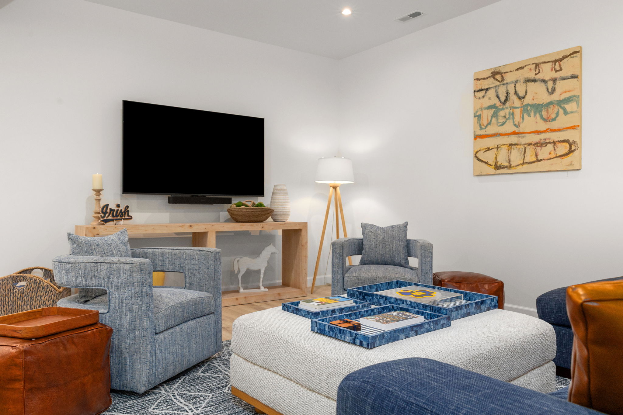 Basement Living Room