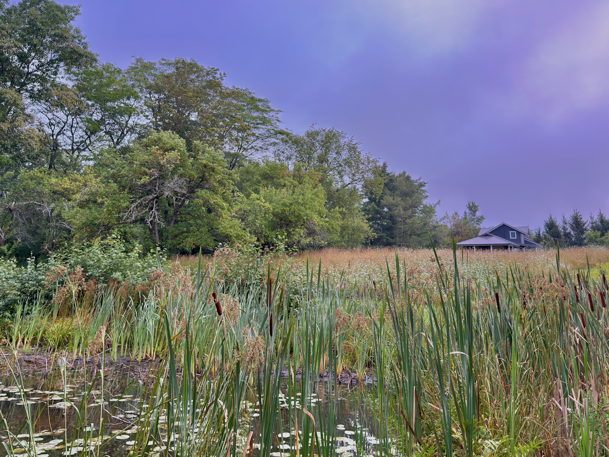 A scenic late-August view of our home, captured from the quiet banks of the pond.