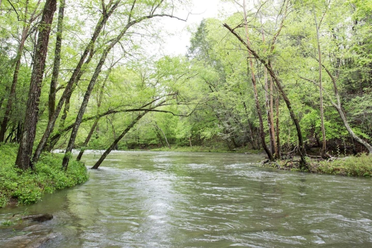 The French Broad River runs throughout Riverbend at Lake Lure.
Enjoy this river. 