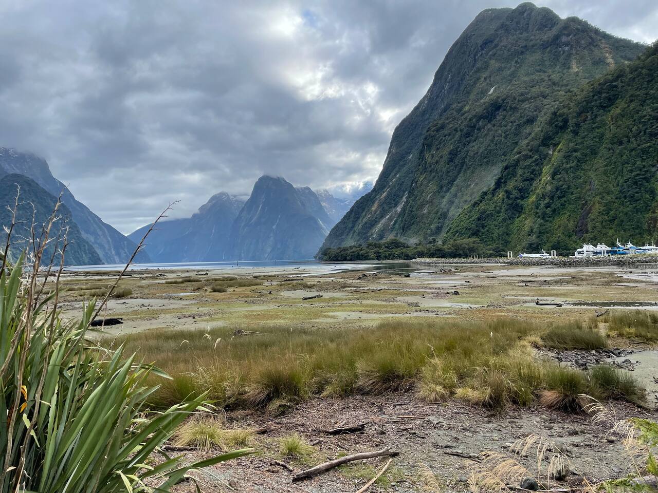Milford Sound