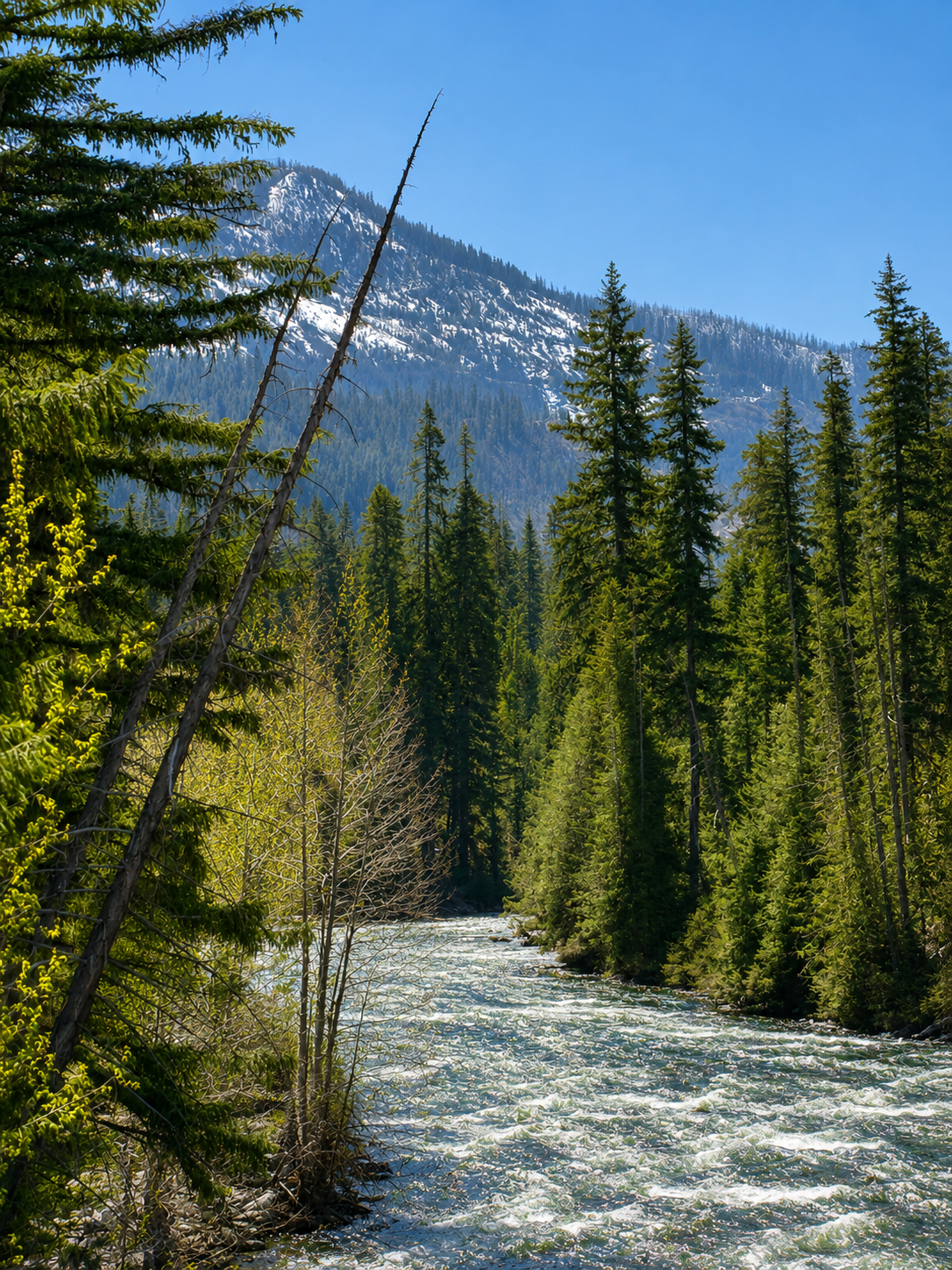 Explore the beautiful Cle Elum River and all of the hiking trails nearby