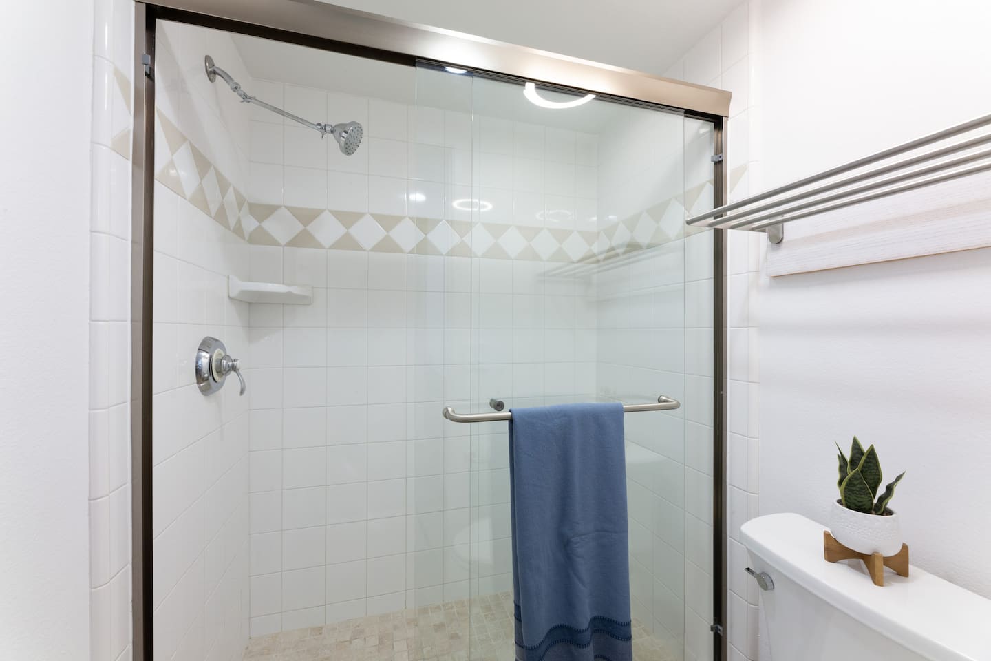 master bathroom shower