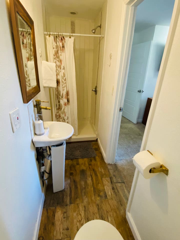 Bedroom 10 attached Bathroom