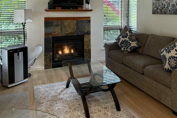 Unit B - also boasts AC unit and natural gas fireplace.