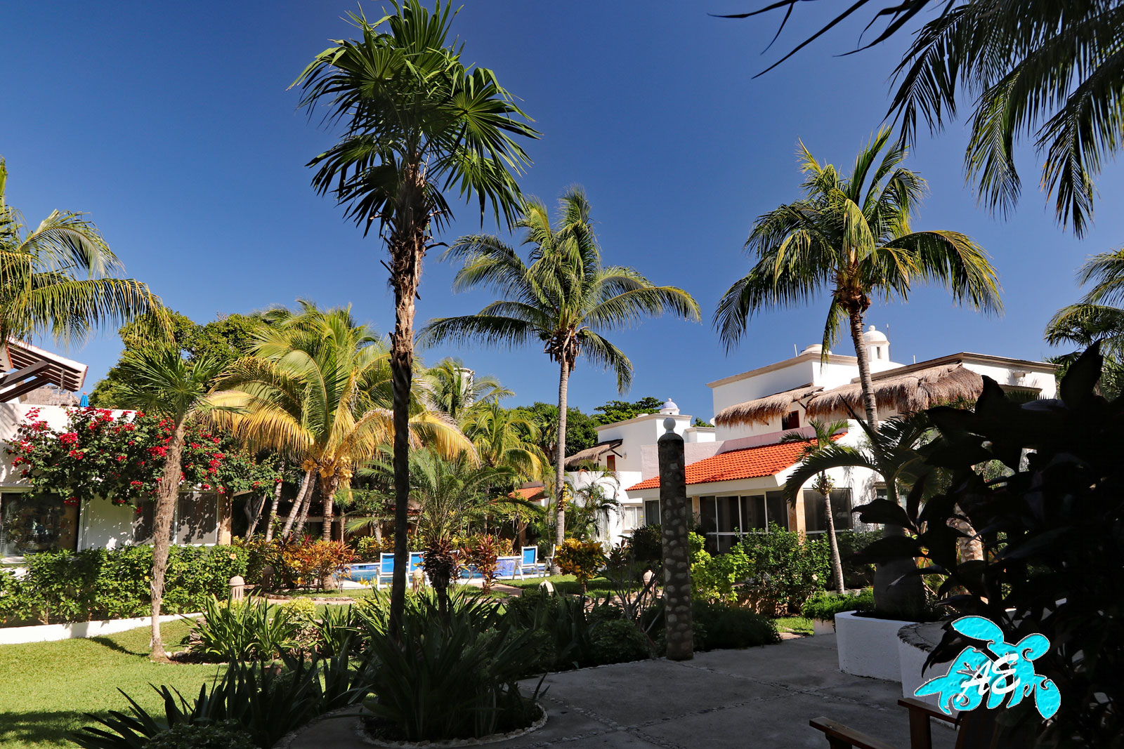 Updated Spacious Beachfront=Snorkeling,Gorgeous,Pool,Amenities & Views 5