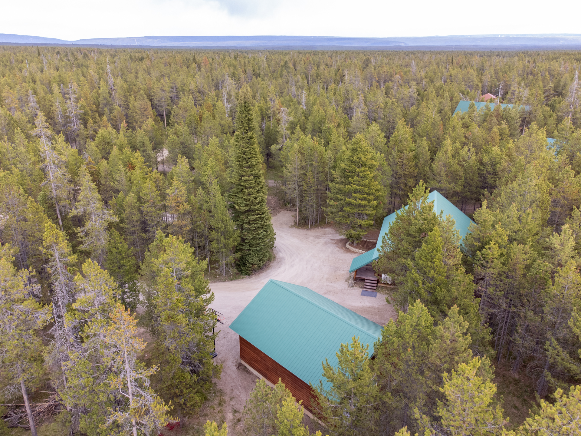 Cabin and Garage tucked away in the lodge pole and fur trees