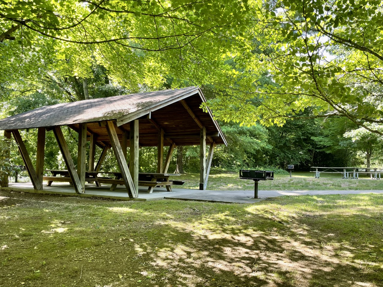 On the other side of the river from the cabin is Murray Branch Recreation area. Known as a take out spot for people rafting, tubing, and kayaking. Also set up for people to come and picnic.