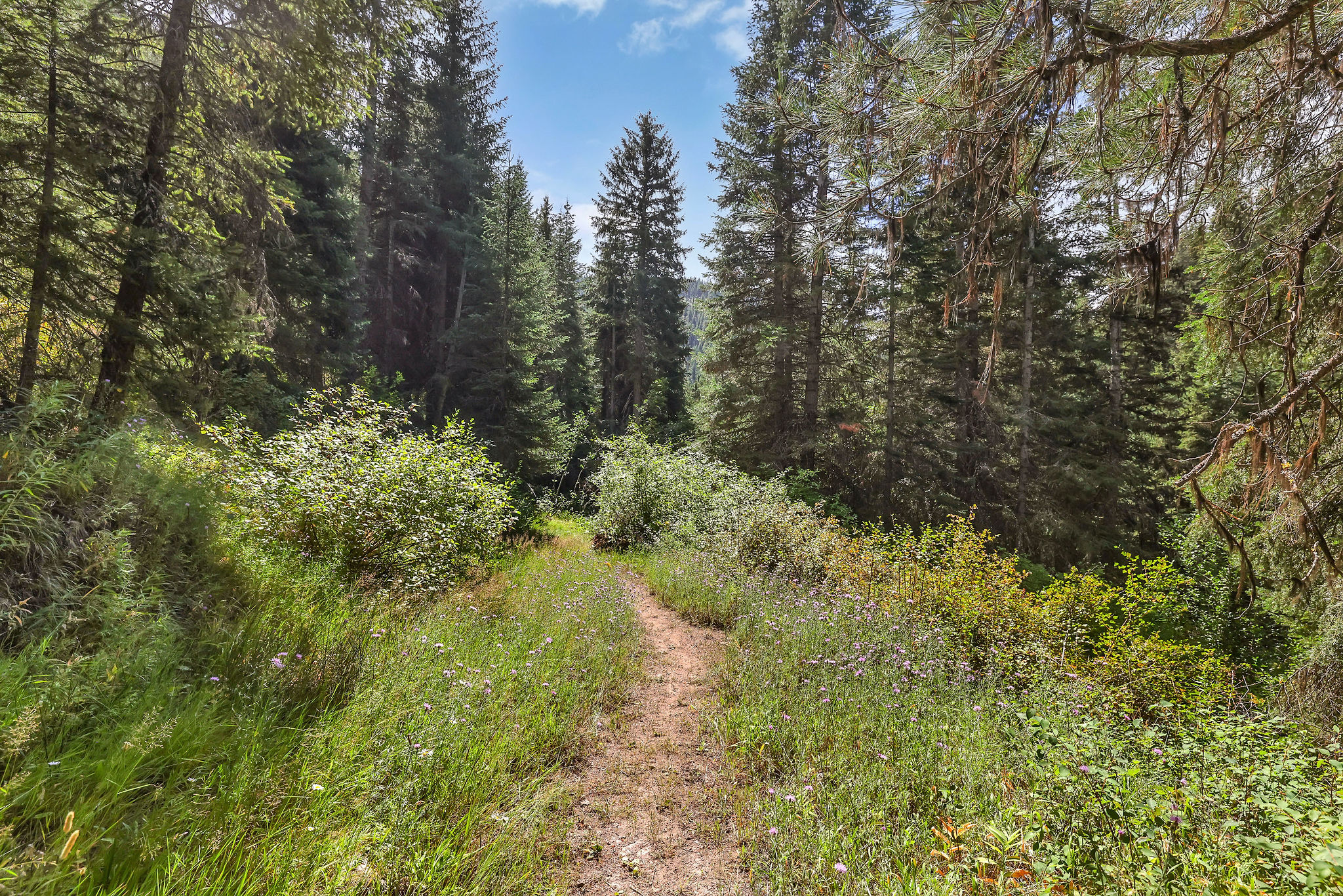 One of various trails throughout the area