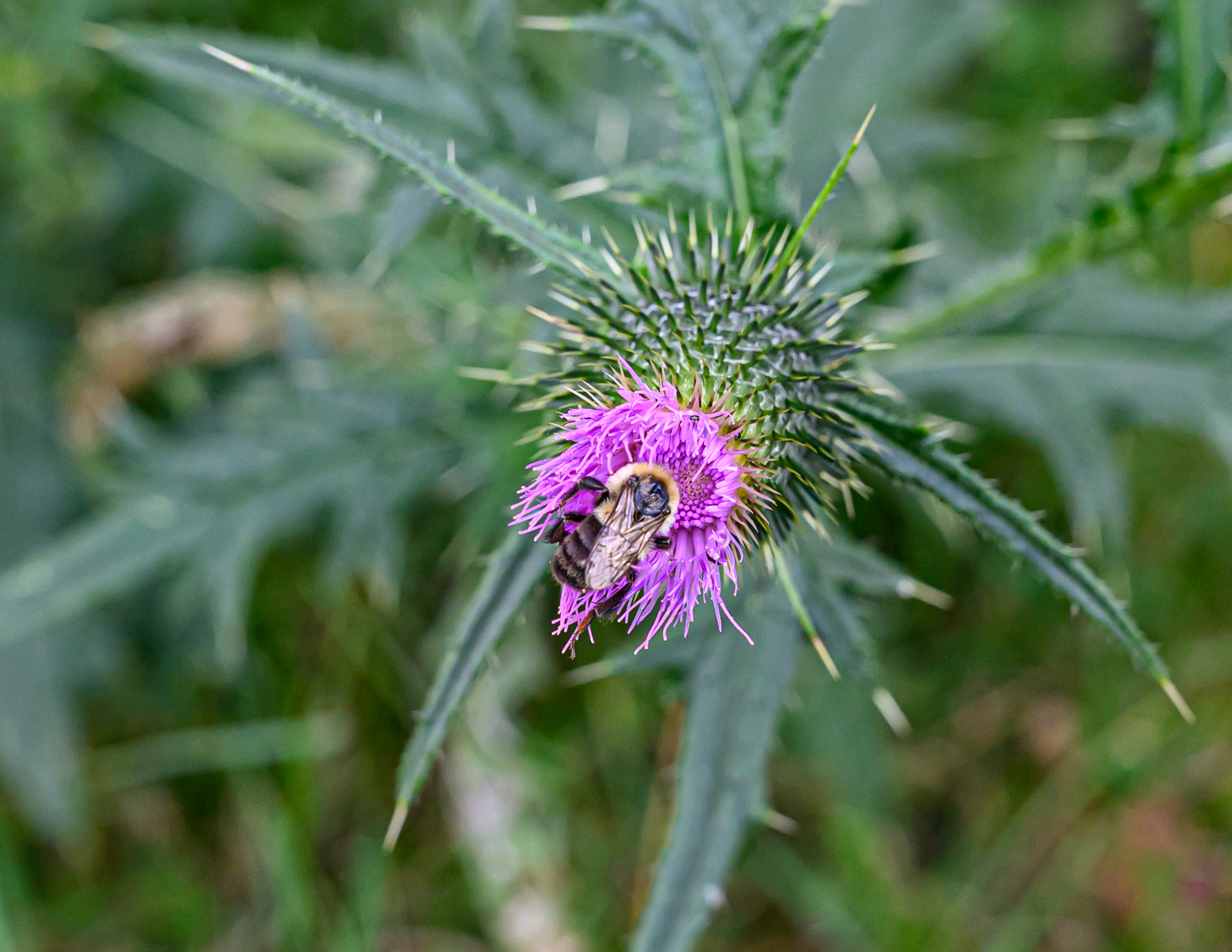 Nature is all around Raymond Ridge!