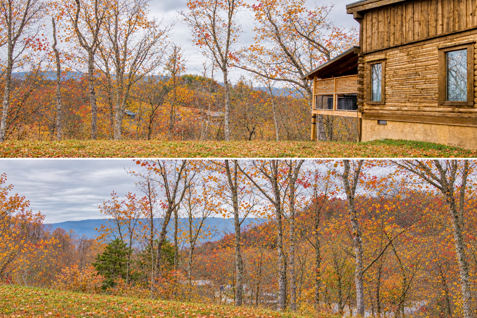 Fall view