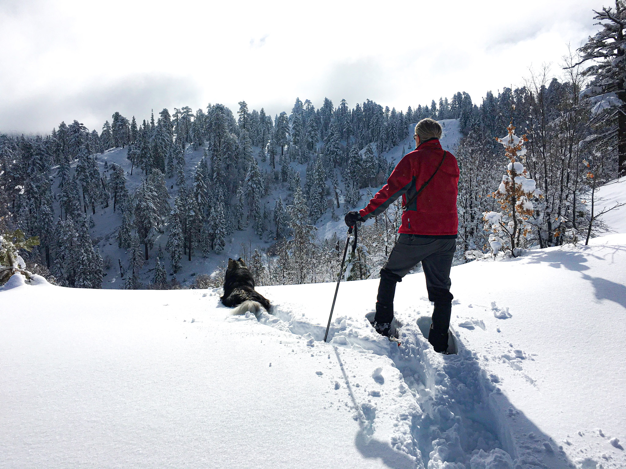 snowshoeing is a favorite local pastime
