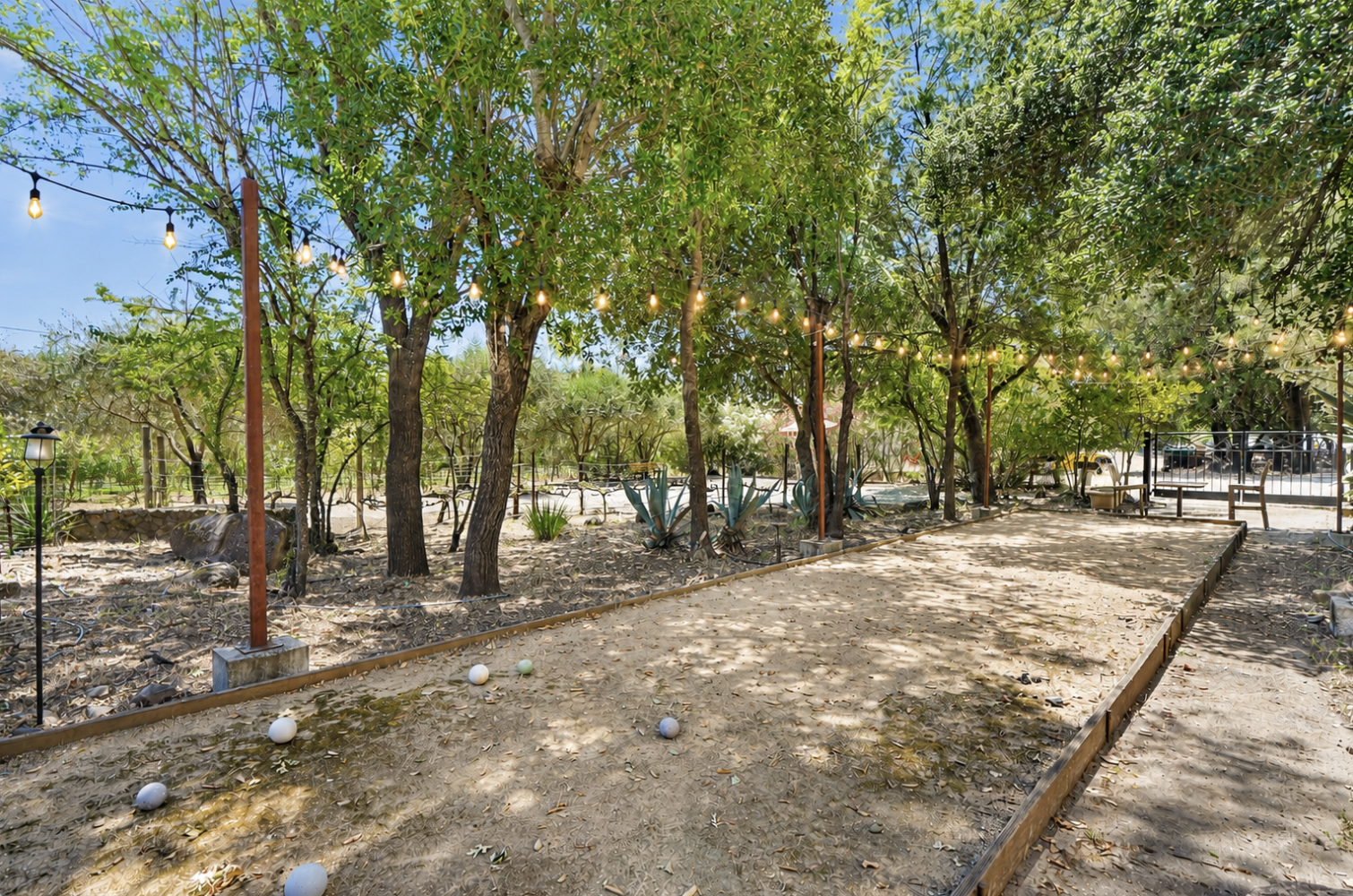 Outdoor fun beneath the shade trees