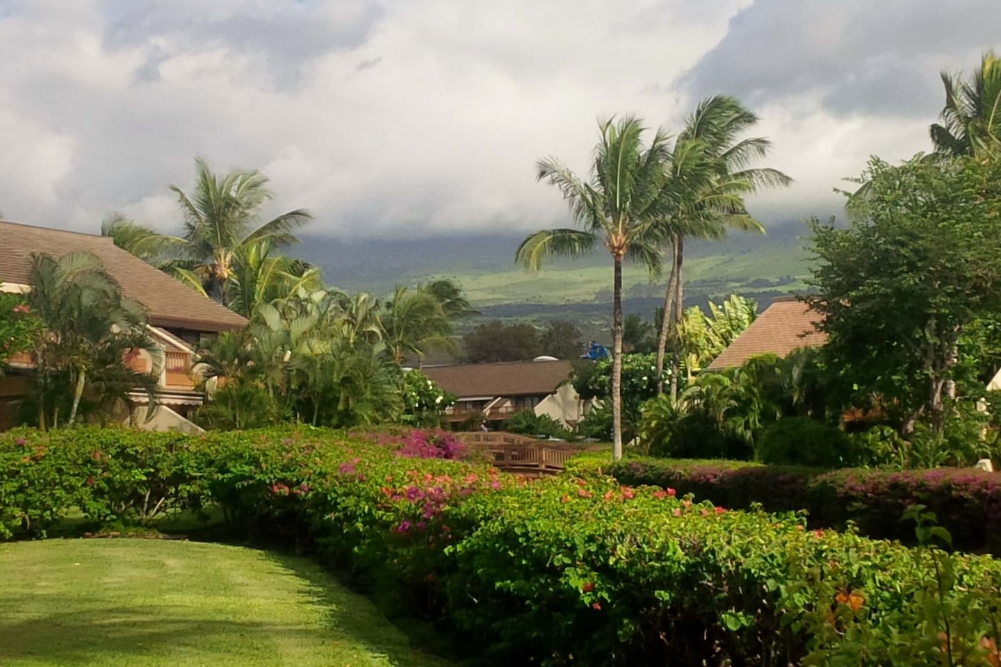 Maui Kamaole is a low-rise community set in a lush park-like 23 acre property