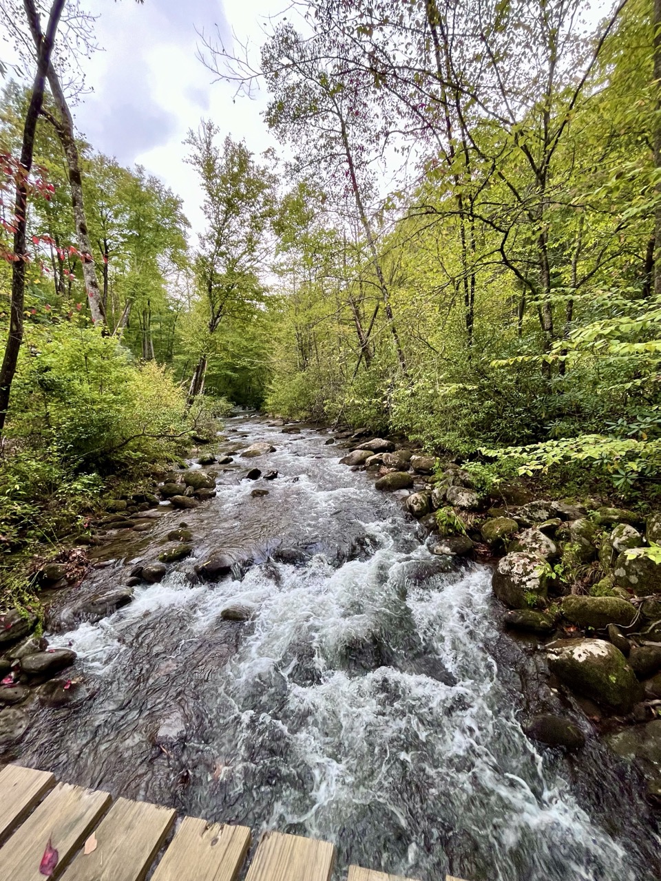 Take a short walk through the neighborhood and follow the creek as it winds through the mountains. Cross the wooden bridge, listen to the water, and enjoy a quiet moment in nature.