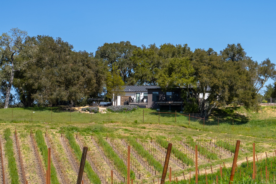 Luxury home with private vineyard views.