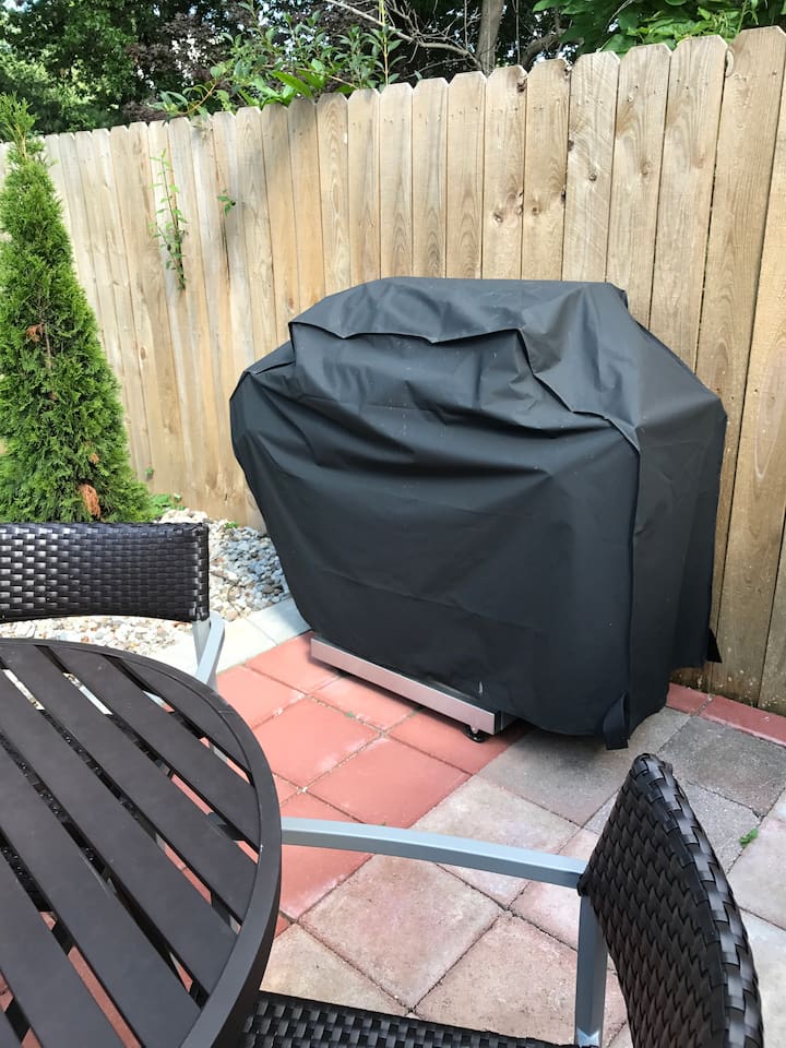 New gas grill