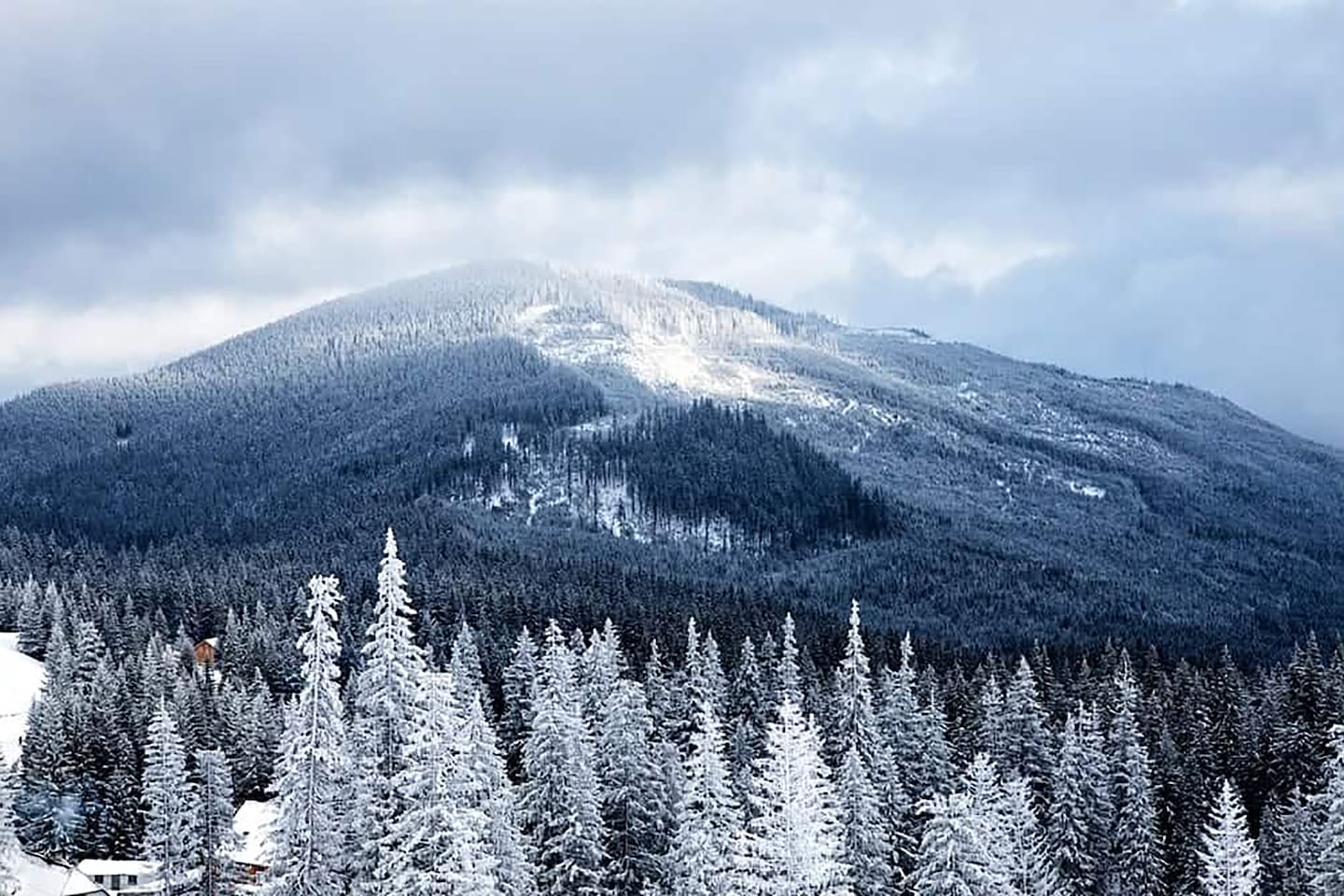 Winter in the Smoky's