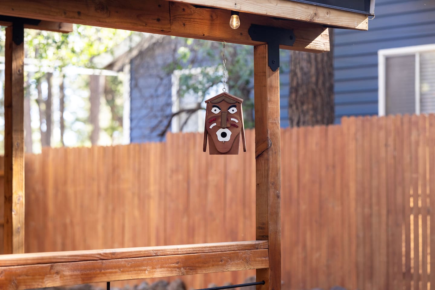 Yes, we are goofy. But this birdhouse is cool. Try to catch a bird coming out of his mouth. Hilarious!