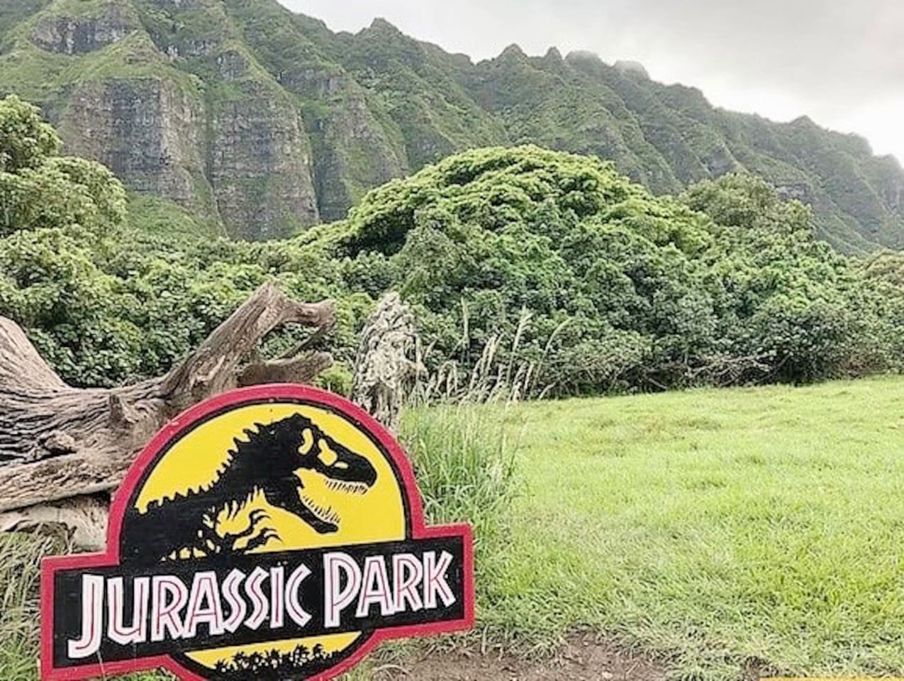 Kualoa Ranch offers Jurassic park tours! So much fun!