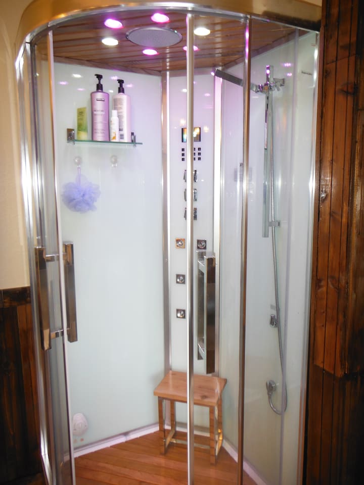 Steam shower with LED chromatherapy and stereo in the Master Suite