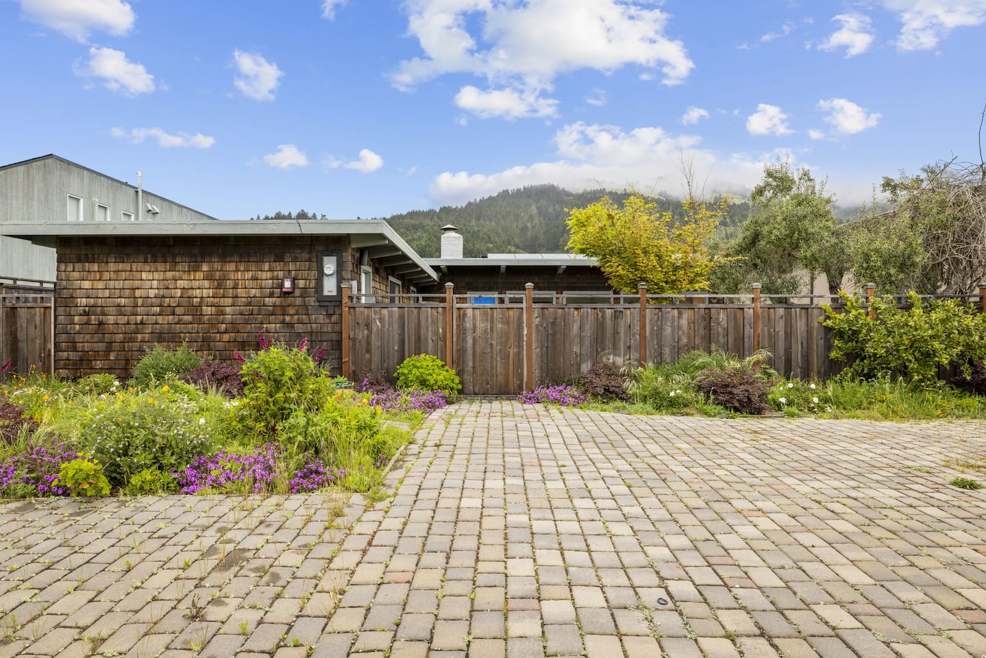 Driveway and front garden with colorful blooming plants.

