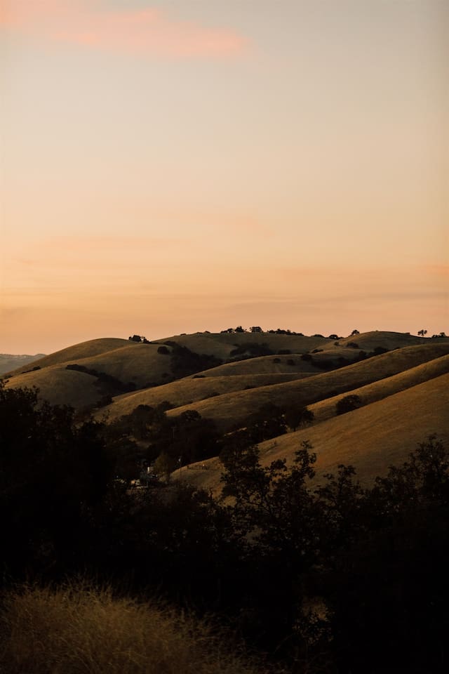 View from front of Vista Santa Lucia