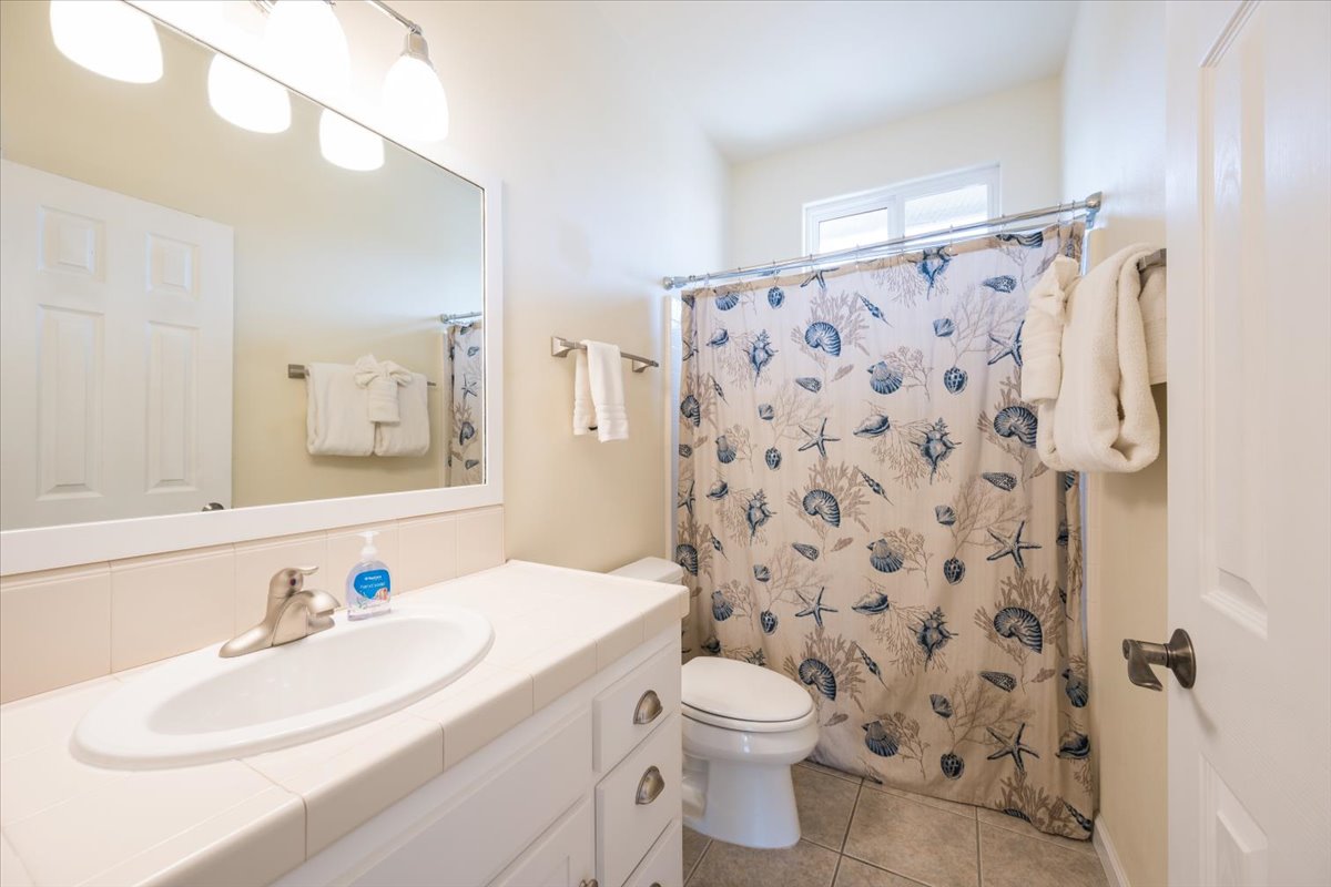 Hall bathroom tub/shower