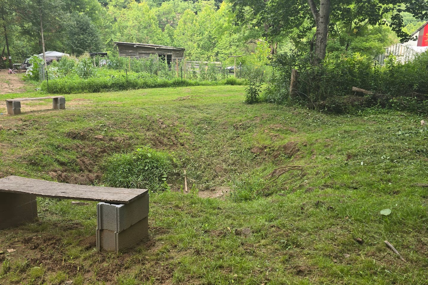 Backyard