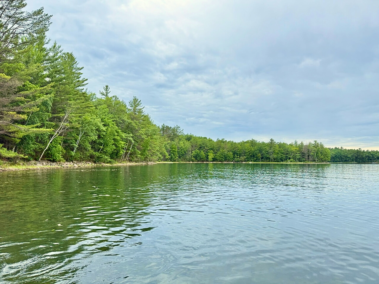View from the dock of adjacent state forest land
