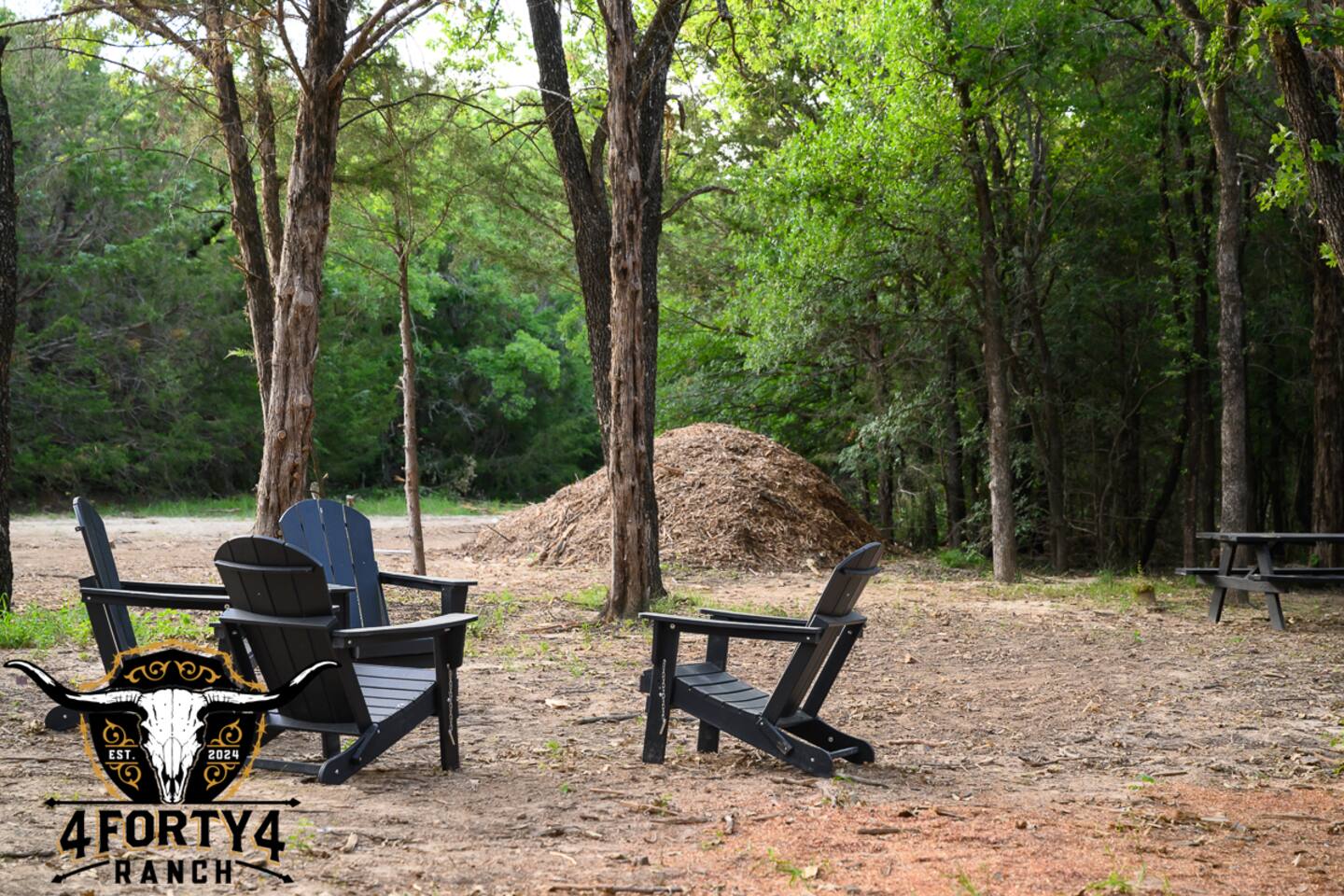 Peaceful sitting area where all you hear are birds and sounds of the local wildlife