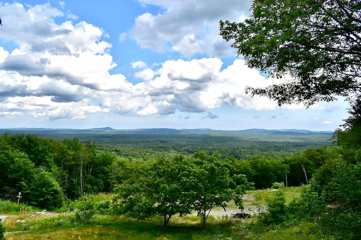 View From Upper Deck
