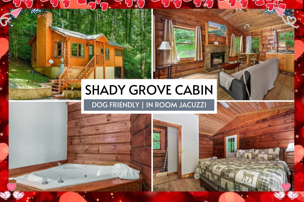 Welcome to Shady Grove Cabin – your private, dog-friendly retreat in the Smoky Mountains, where cozy comfort meets peaceful forest charm.