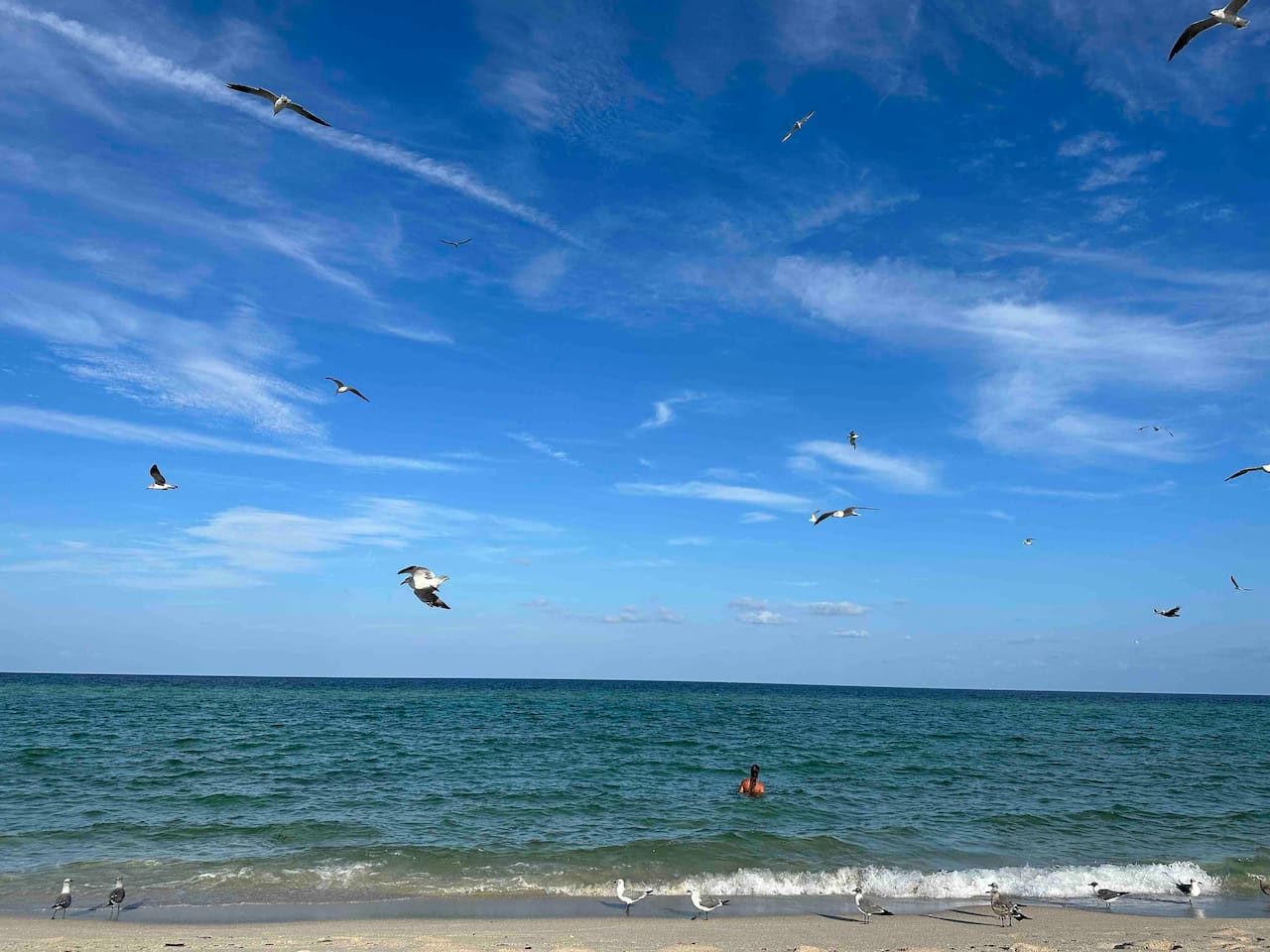 Haulover Beach