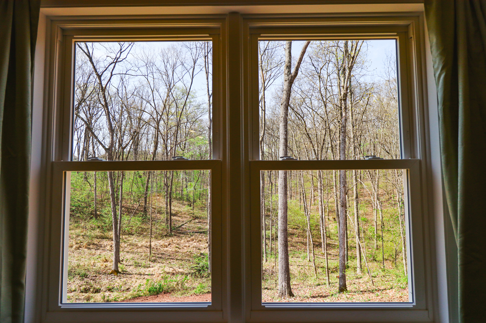 Side yard view from Living Room