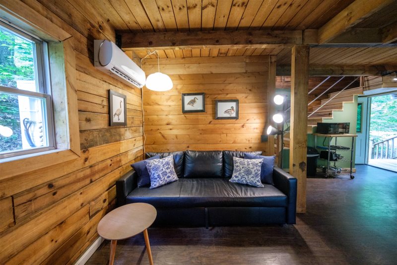 Living room with pullout-couch 