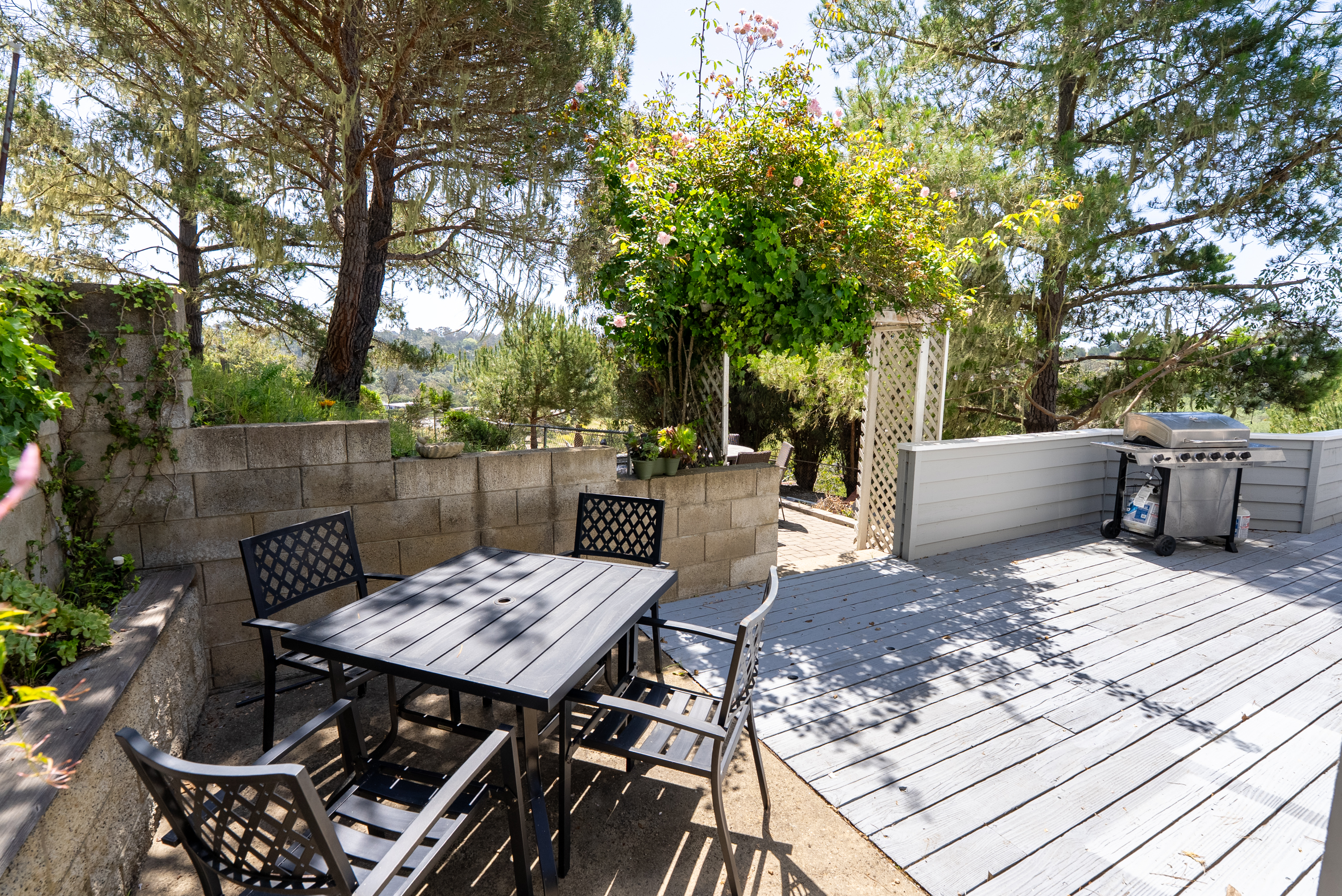 A serene setting for laid-back meals.