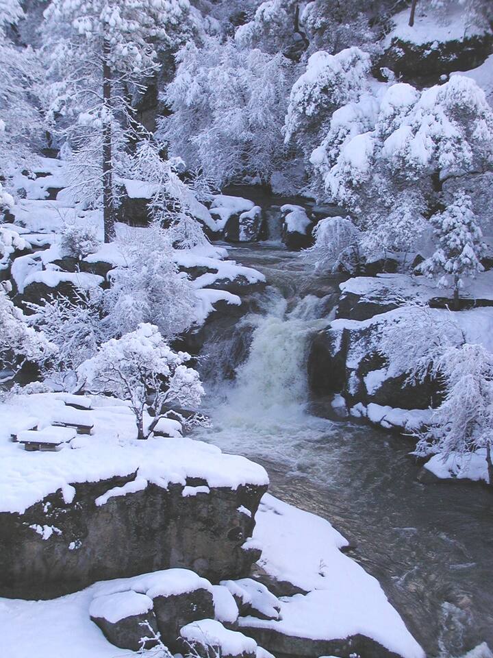 Sometimes we have 
white Christmas!