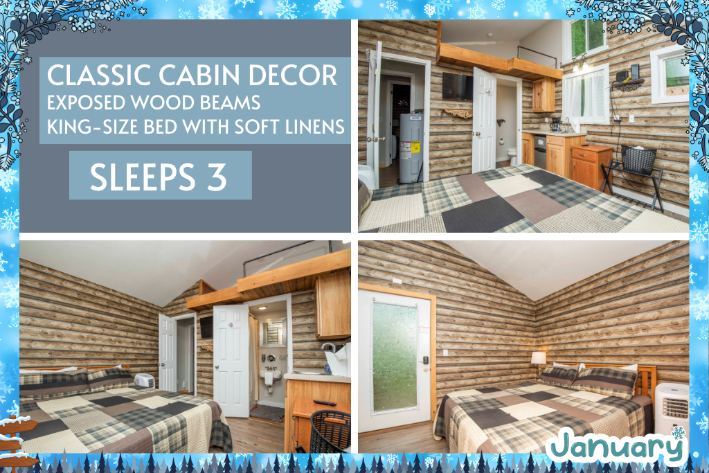 Classic cabin comfort with wood beams and space to sleep 3