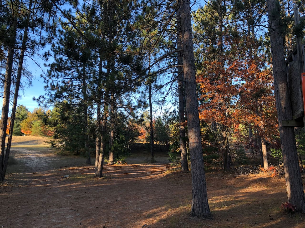 Stones Throw Cottage is located on 3.4 acres of land, featuring large red pines, and a mixture of hardwood trees. Trails are not available for use with machines, but be our guest and walk them to enjoy. 