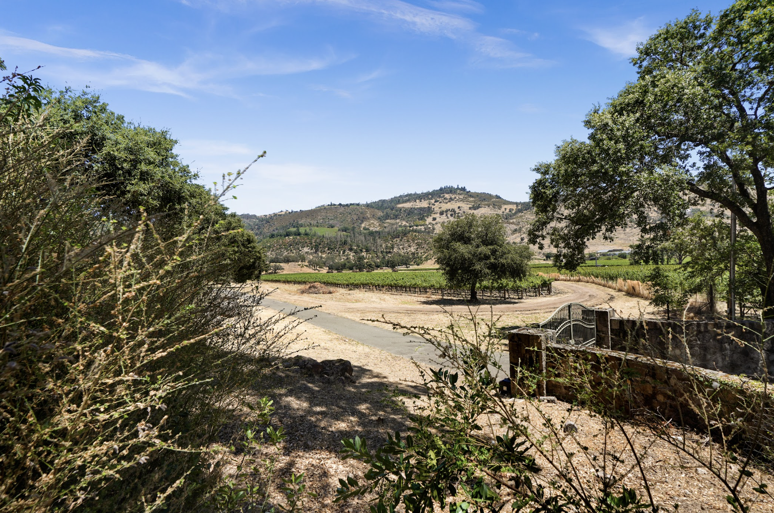 Beautiful views across Napa Valley vineyards