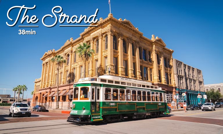 Or go shopping on the Strand in historic downtown.