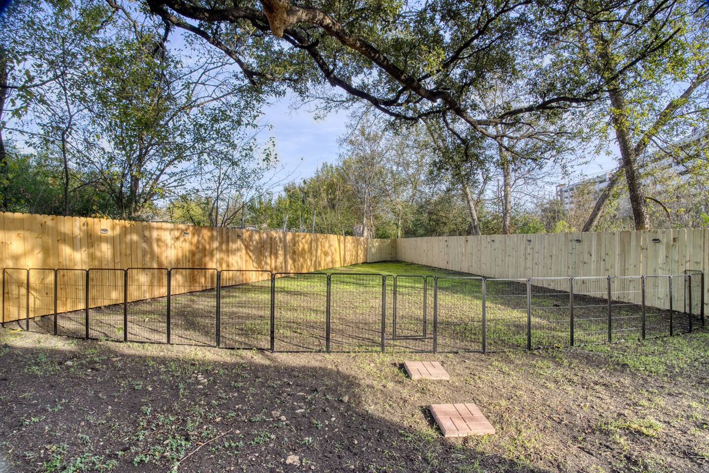 Explore Our Safe & Fun Gated Dog Park