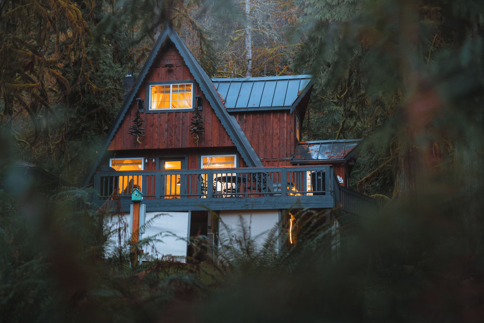 Our cozy cabin is secluded in the forest