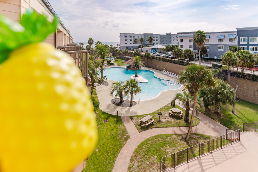 Cheers to great views!