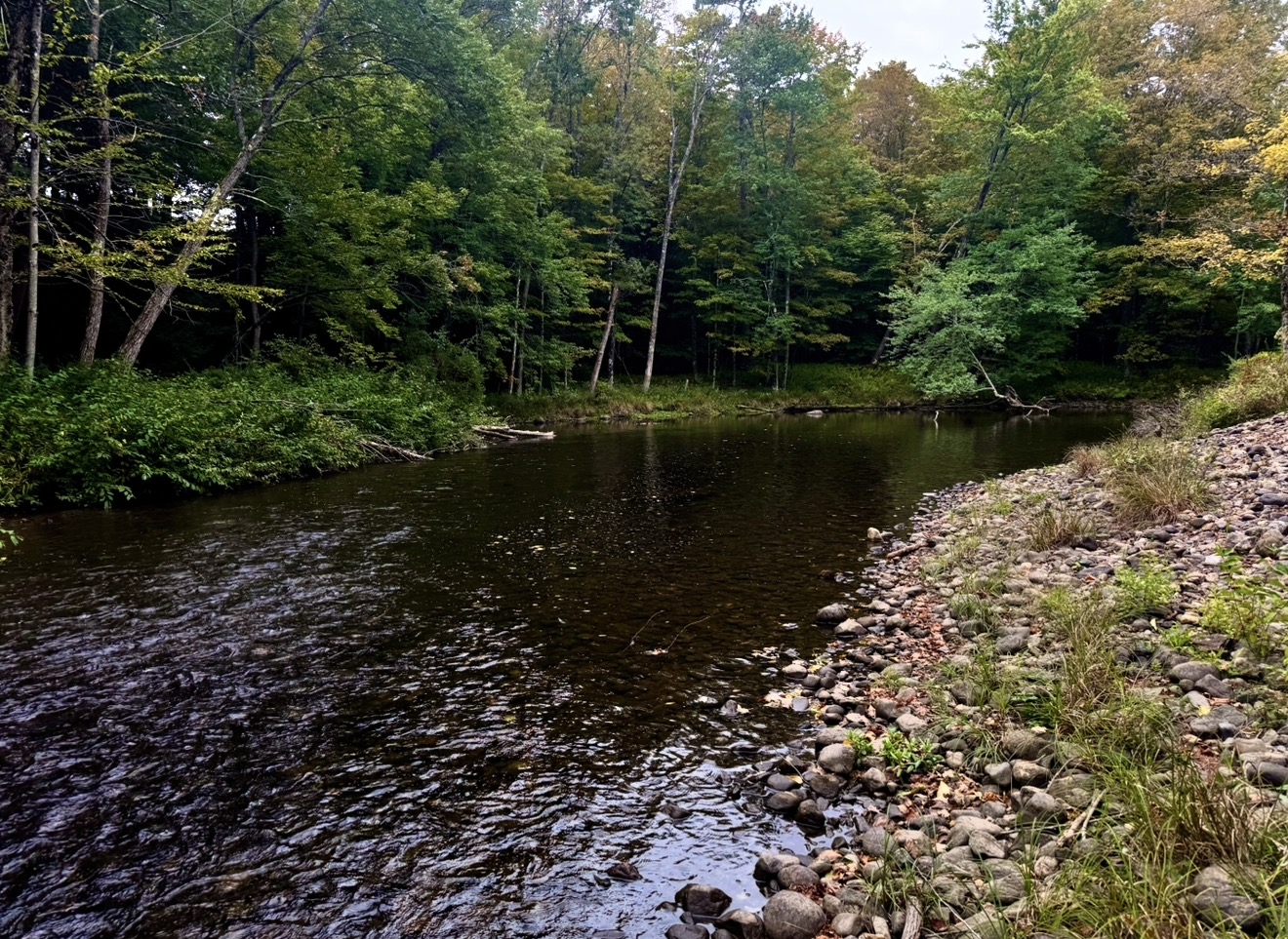 One of the larger wading pools. Typically only a few feet deep so very kid friendly as well. Also a good spot for some fly fishing. 