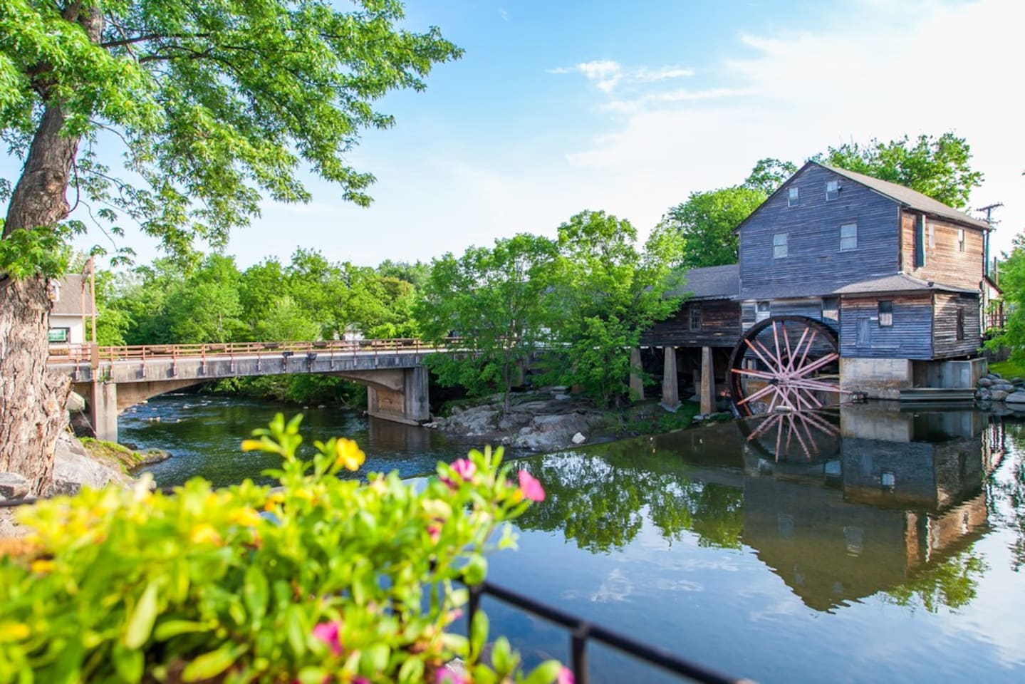 The Old Mill restaurant has the most reviews we have ever seen on Yelp and Google.