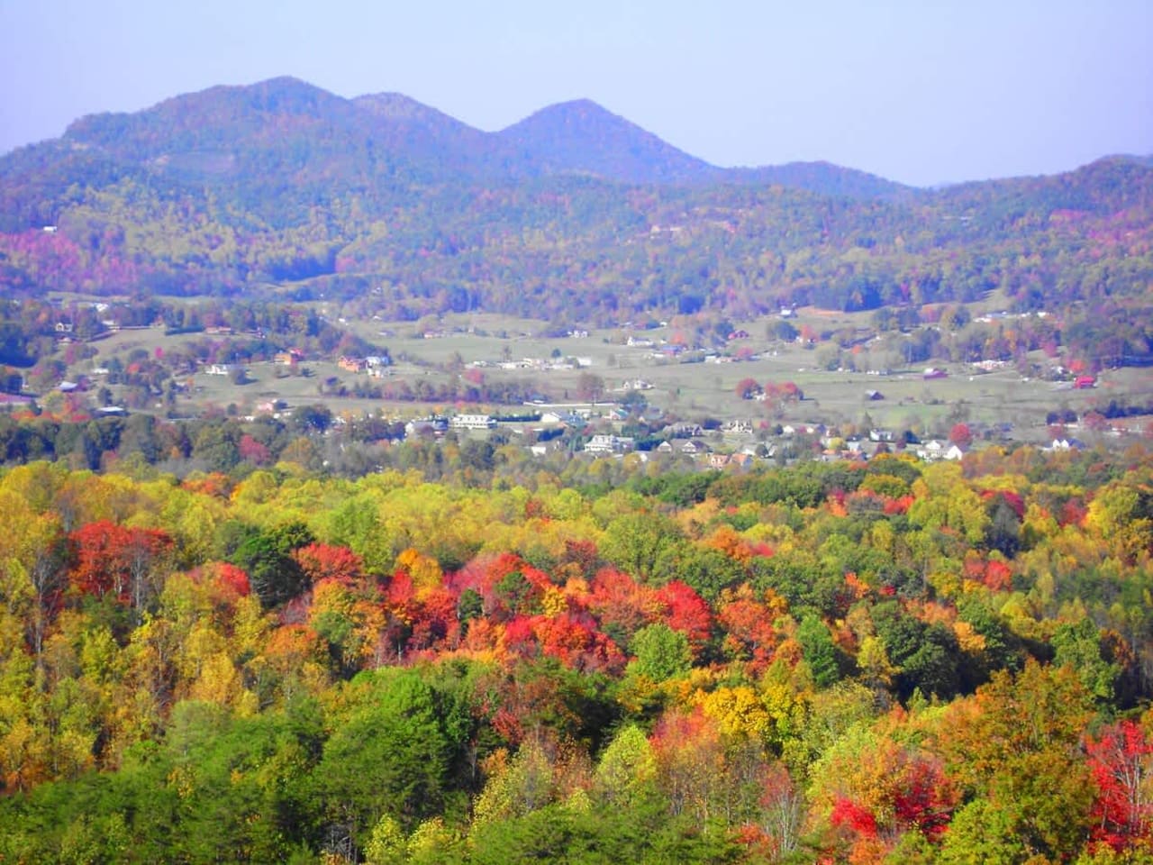 Fall colors